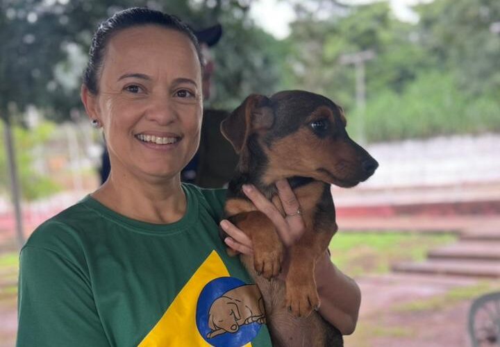 mutirao-de-castracao-atende-animais-gratuitamente-em-itabira-ate-17-de-abril