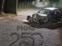 motorista-e-preso-por-embriaguez-apos-colidir-contra-arvore-em-j-monlevade