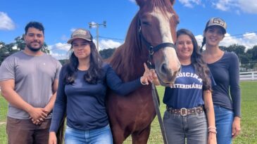 equoterapia-ganha-reforco-em-sao-goncalo