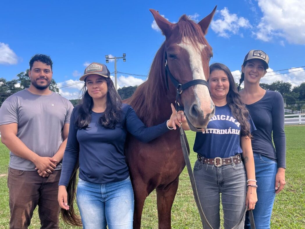 equoterapia-ganha-reforco-em-sao-goncalo