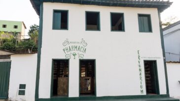projeto-arte-no-muro-celebra-semana-dos-museus-em-ipoema
