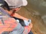 sgra-fortalece-piscicultura-ornamental-e-amplia-oportunidades