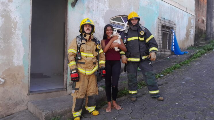 bombeiros-resgatam-gato-durante-incendio-em-residencia