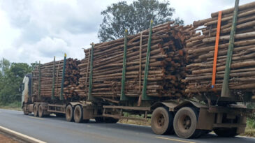 der-restringe-circulacao-de-tritrens-e-rodotrens-entre-curvelo-e-felixlandia