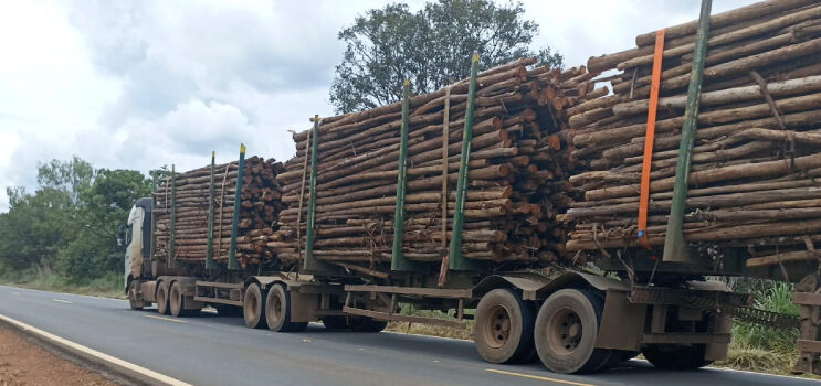 der-restringe-circulacao-de-tritrens-e-rodotrens-entre-curvelo-e-felixlandia