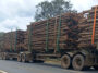der-restringe-circulacao-de-tritrens-e-rodotrens-entre-curvelo-e-felixlandia