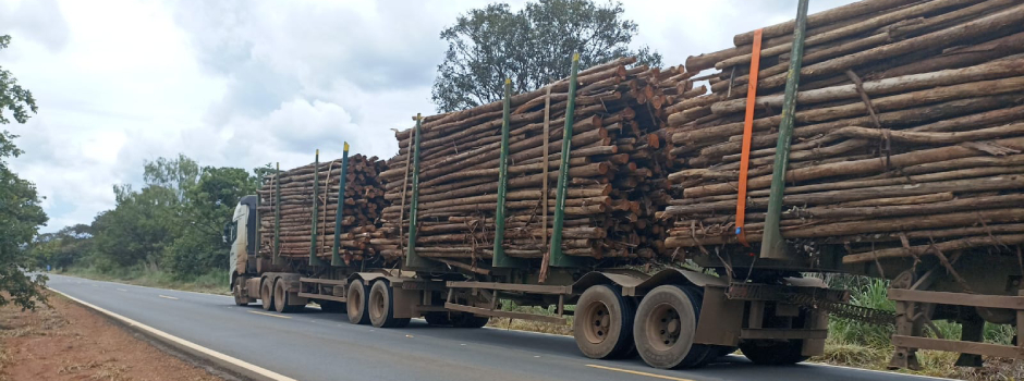 der-restringe-circulacao-de-tritrens-e-rodotrens-entre-curvelo-e-felixlandia