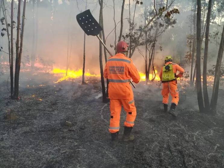 Trabalho integrado dos bombeiros e outros órgãos potencializa combates aos incêndios