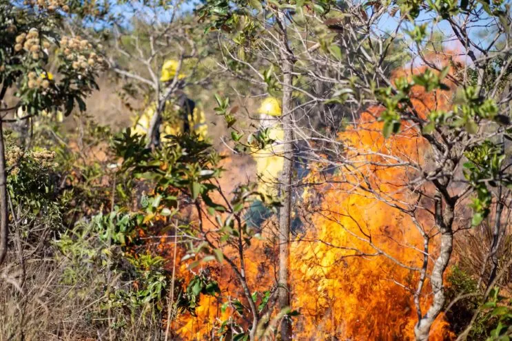 minas-adota-prevencao-a-incendios-florestais-como-prioridade